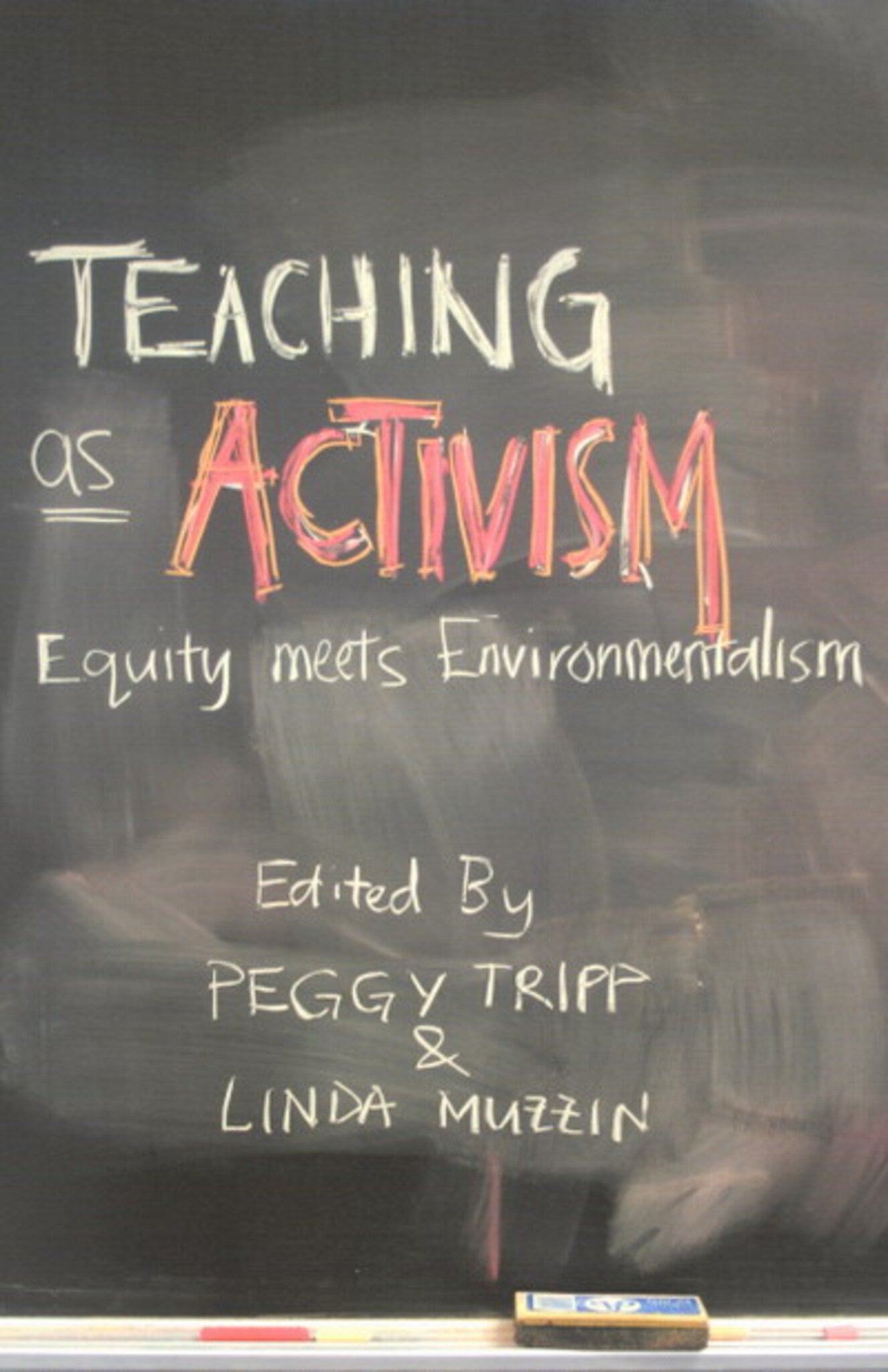 Cover image for Teaching as Activism ISBN 9780773528086